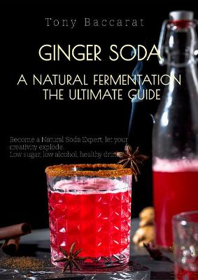 Book cover for Ginger Soda A Natural Fermentation