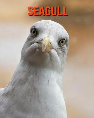 Book cover for Seagull