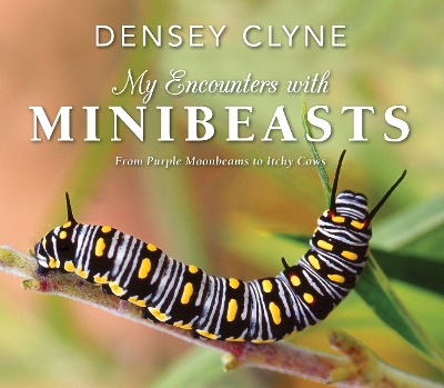 Book cover for My Encounters with Minibeasts