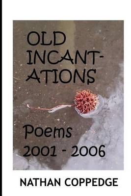 Book cover for The Old Incantations