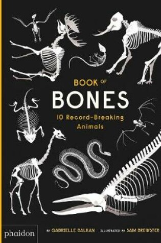 Cover of Book of Bones