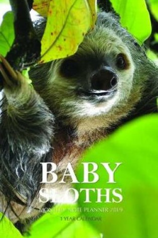 Cover of Baby Sloths Monthly Note Planner 2019 1 Year Calendar