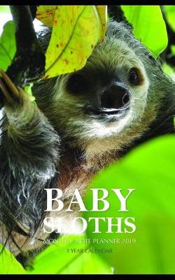 Book cover for Baby Sloths Monthly Note Planner 2019 1 Year Calendar