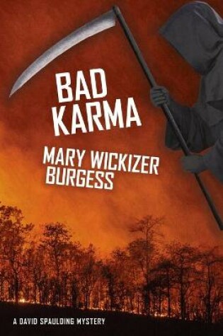 Cover of Bad Karma