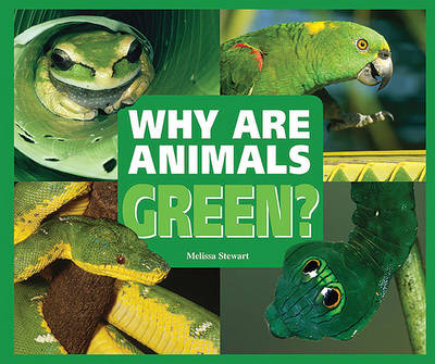 Book cover for Why are Animals Green?