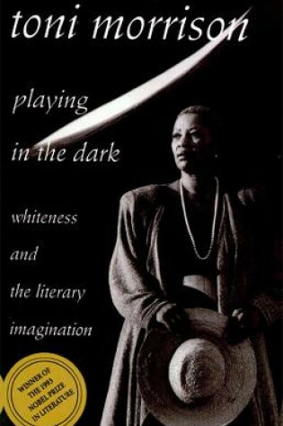 Cover of Playing in the Dark