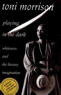 Book cover for Playing in the Dark