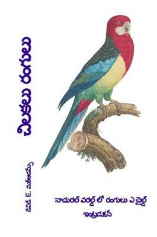 Cover of Cilakalu rangulu