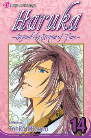 Cover of Haruka: Beyond the Stream of Time, Volume 14