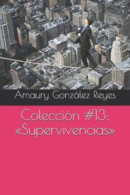 Book cover for Coleccion #13