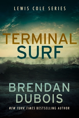 Book cover for Terminal Surf