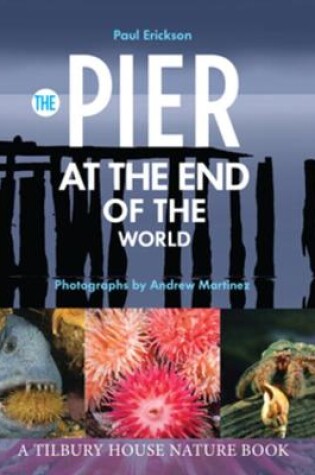 Cover of The Pier at the End of the World