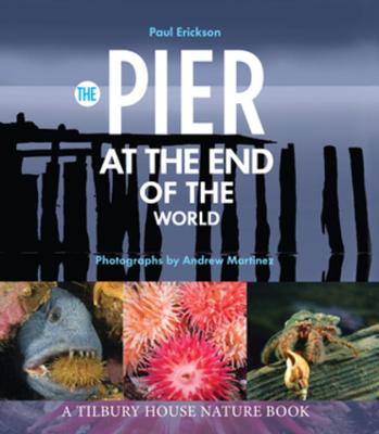 Book cover for The Pier at the End of the World