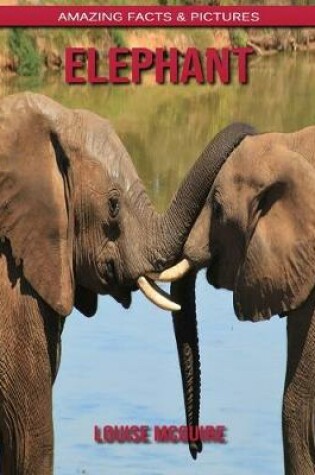 Cover of Elephant