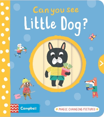 Cover of Can You See Little Dog?