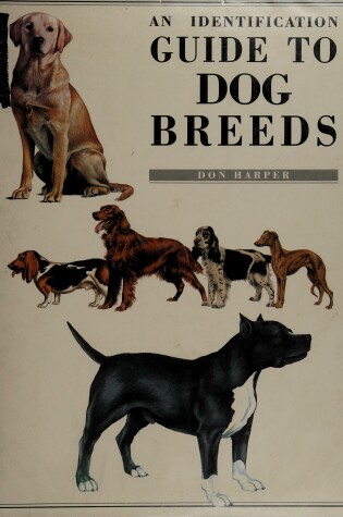 Cover of Indentification Guide to Dog Breeds