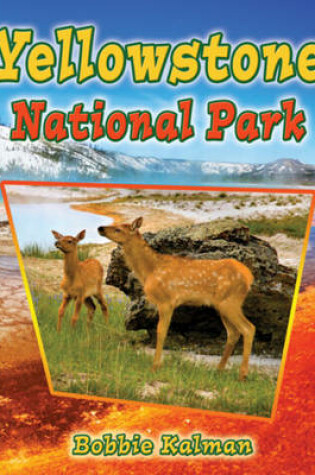 Cover of Yellowstone National Park