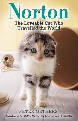 Book cover for Norton, The Loveable Cat Who Travelled the World