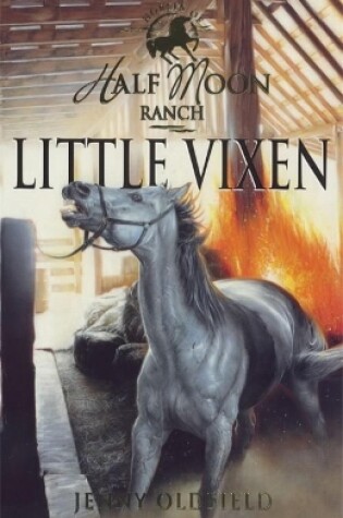 Cover of Little Vixen