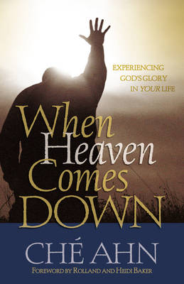 Book cover for When Heaven Comes Down