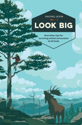 Cover of Look Big
