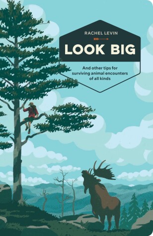 Book cover for Look Big