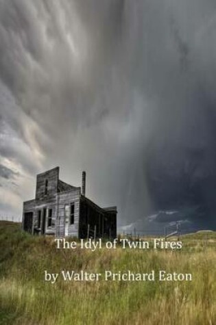 Cover of The Idyl of Twin Fires