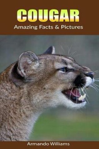 Cover of Cougar