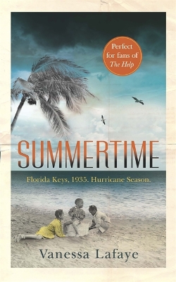 Book cover for Summertime