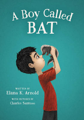 Book cover for A Boy Called Bat