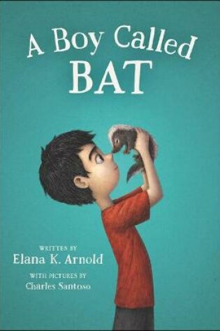 Cover of Boy Called Bat