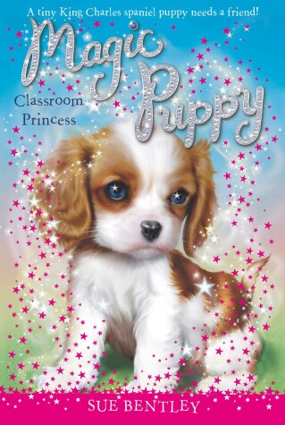 Book cover for Classroom Princess #9