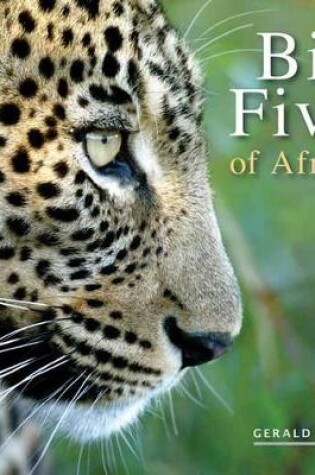 Cover of Big Five of Africa