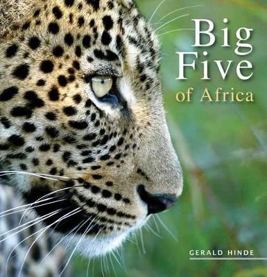 Book cover for Big Five of Africa