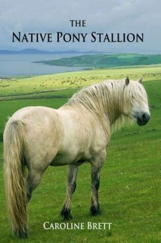 Cover of The Native Pony Stallion