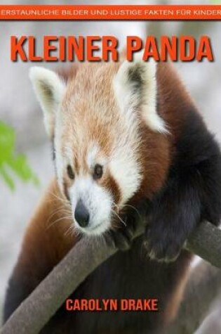Cover of Kleiner Panda