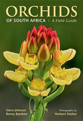 Book cover for Orchids of South Africa