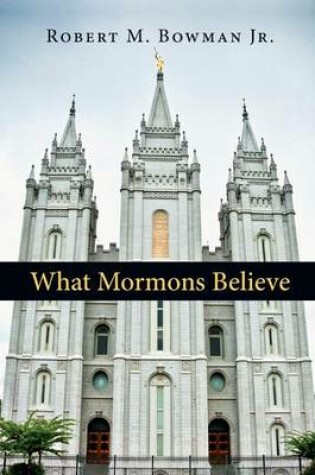 Cover of What Mormons Believe