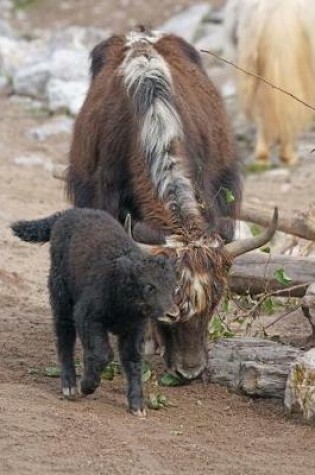 Cover of A Mother and Baby Yak Himalaya Asia Journal