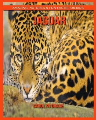 Book cover for Jaguar