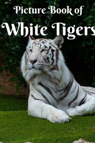 Cover of Picture Book Of The White Tiger