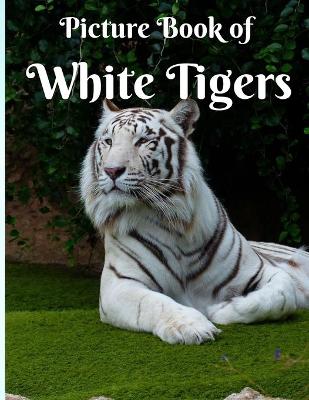 Book cover for Picture Book Of The White Tiger