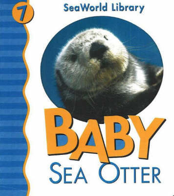 Book cover for Baby Sea Otter