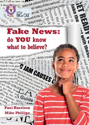Book cover for Fake News