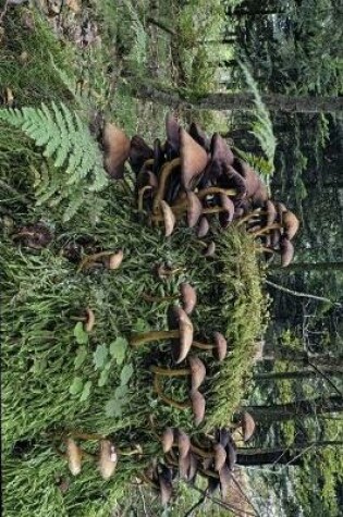 Cover of Mushrooms Growing on a Forest Stump Journal