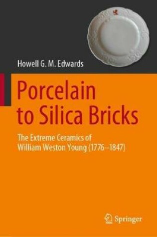 Cover of Porcelain to Silica Bricks