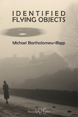 Book cover for Identified Flying Objects