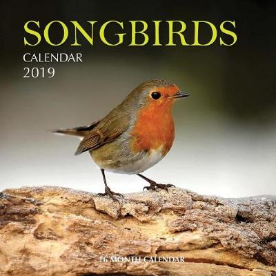 Book cover for Songbirds Calendar 2019