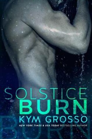 Cover of Solstice Burn