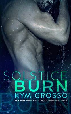 Book cover for Solstice Burn